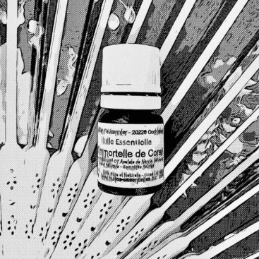 Dessin d'un flacon d'huile d'immortelle de Corse Julien Fauconnier producteur récoltant - Rituel de beauté anti-âge naturelle
